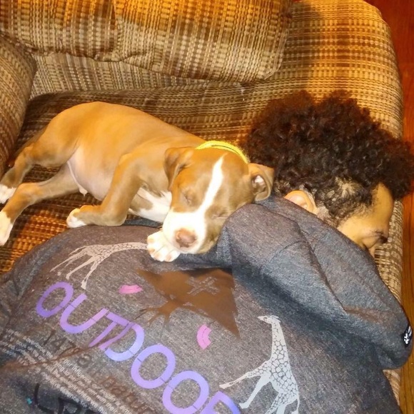 Meet your Posher, Michael LRG-Rep - Picture 9 of 12